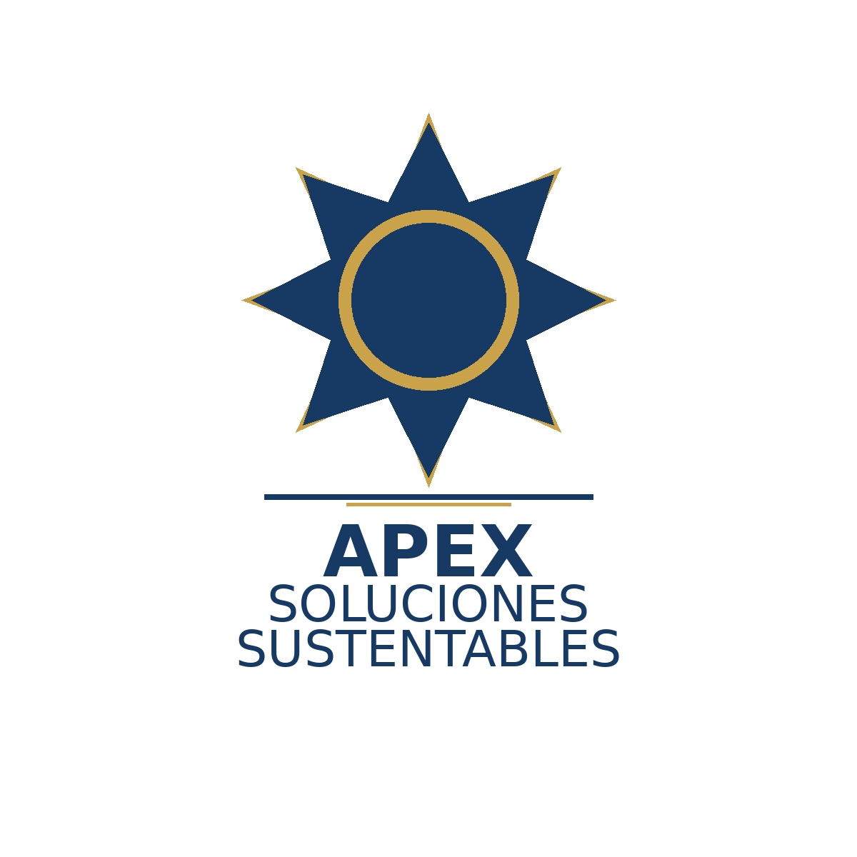 apexsoluciones.cl
